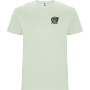 T-Shirt Roly Kids MIST GREEN / Druck GRAU – GS Oberfell